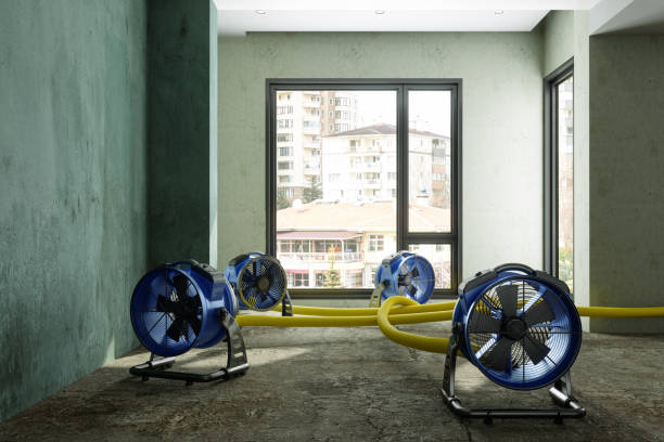 Best Water damage restoration near me  in Green River, WY